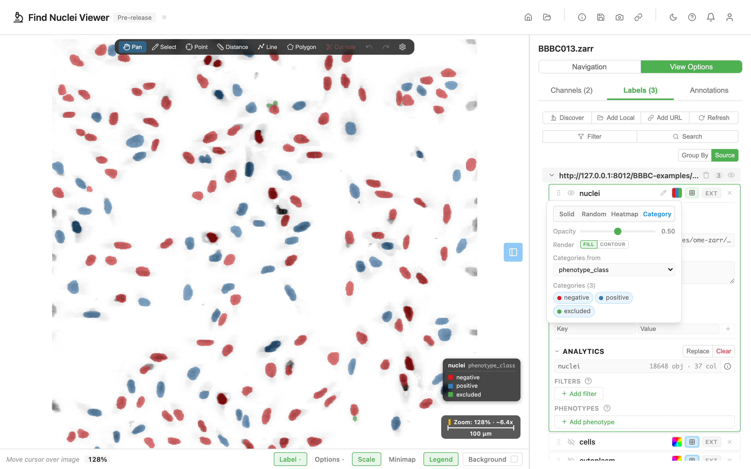 Nuclei coloured by the phenotype_class column, with the colour popover open showing the Category tab, Categories from set to that column, and its three values, plus the legend on the image