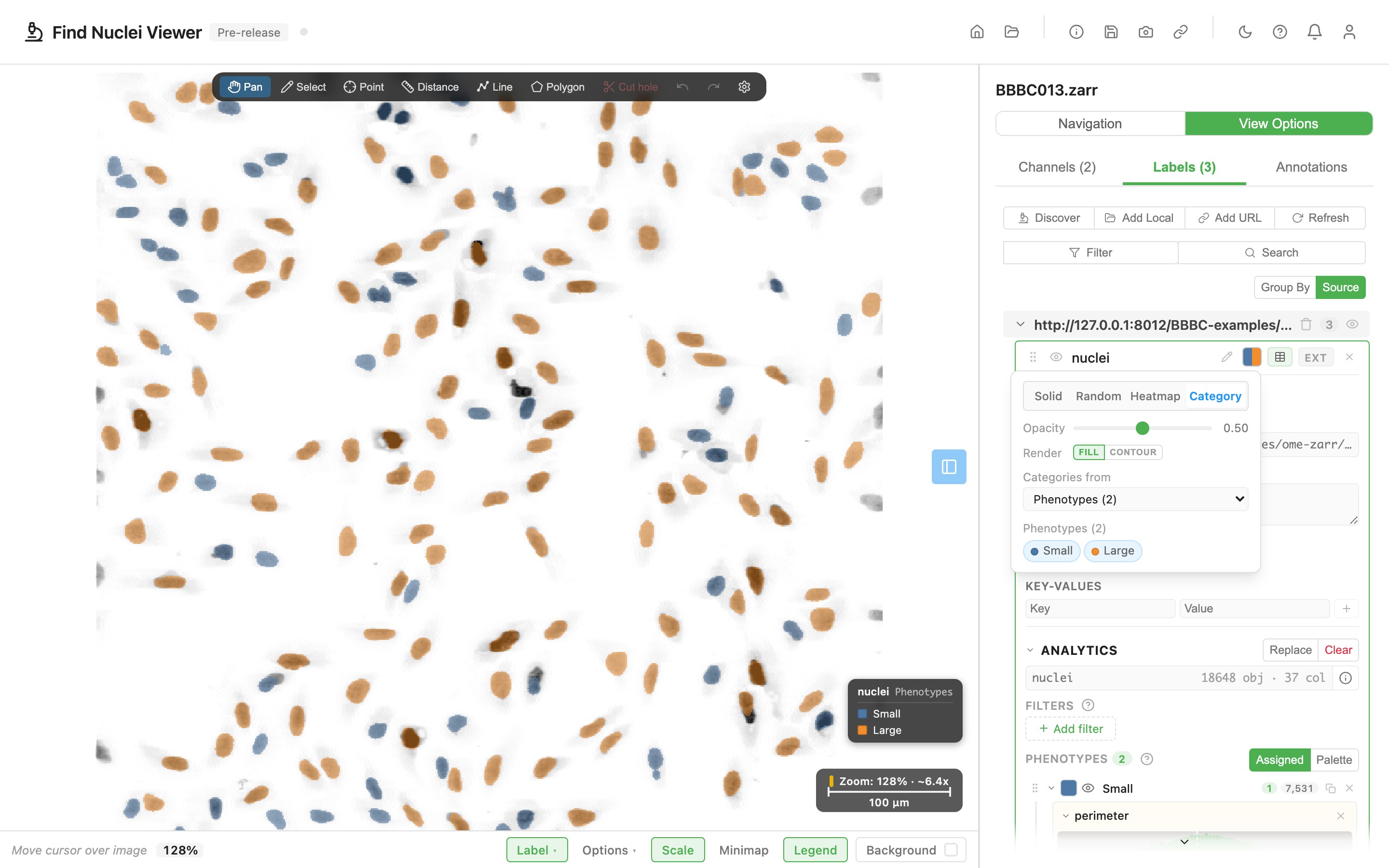 The viewer with nuclei coloured by two phenotype groups, Small in blue and Large in orange. The colour popover shows Categories from set to Phenotypes, the legend on the image lists both groups, and the sidebar shows the groups with their filters and match counts