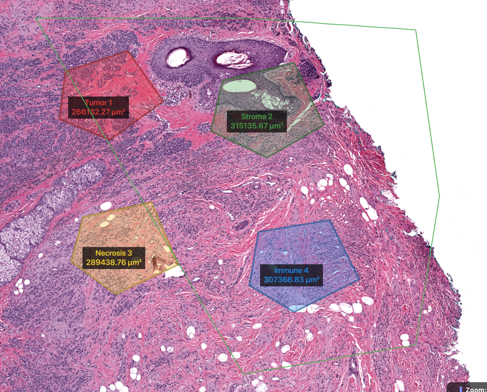 A primary-green lasso path drawn around a cluster of cells, mid-drag (loop not yet closed)