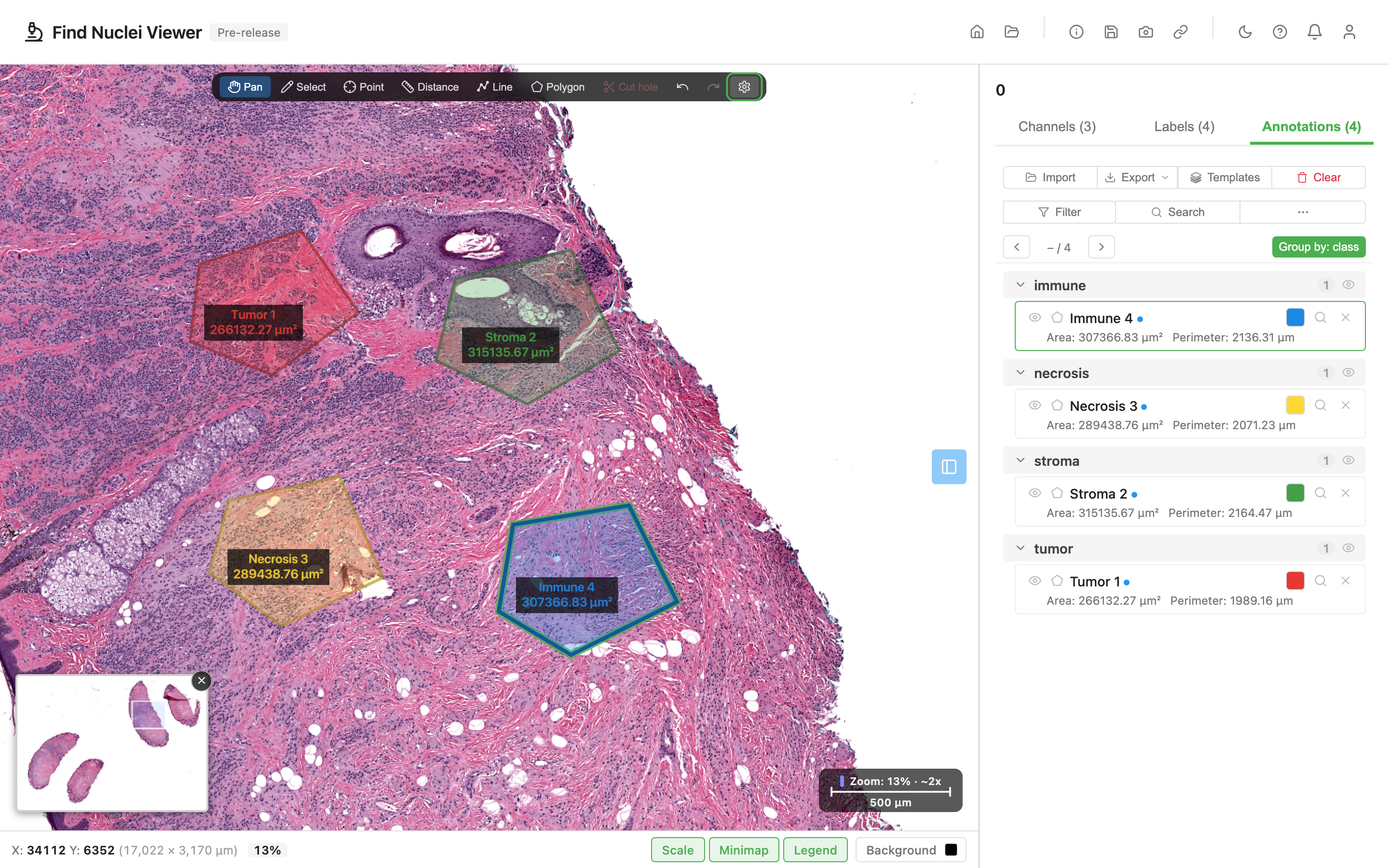 Four polygon annotations drawn on a fluorescence image, with the Annotations tab open in the sidebar listing each one with its area and perimeter