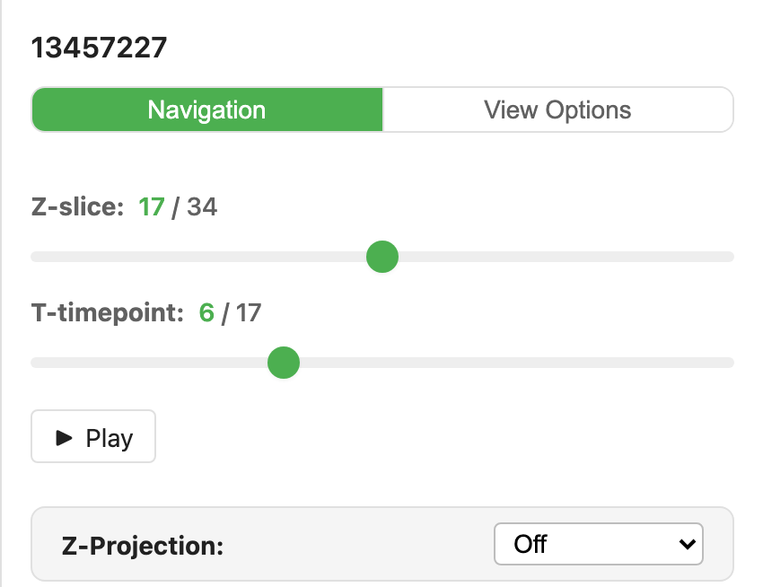 The Navigation panel for an 18-frame time-lapse: the Z-slice and T-timepoint sliders with a Play button beneath them