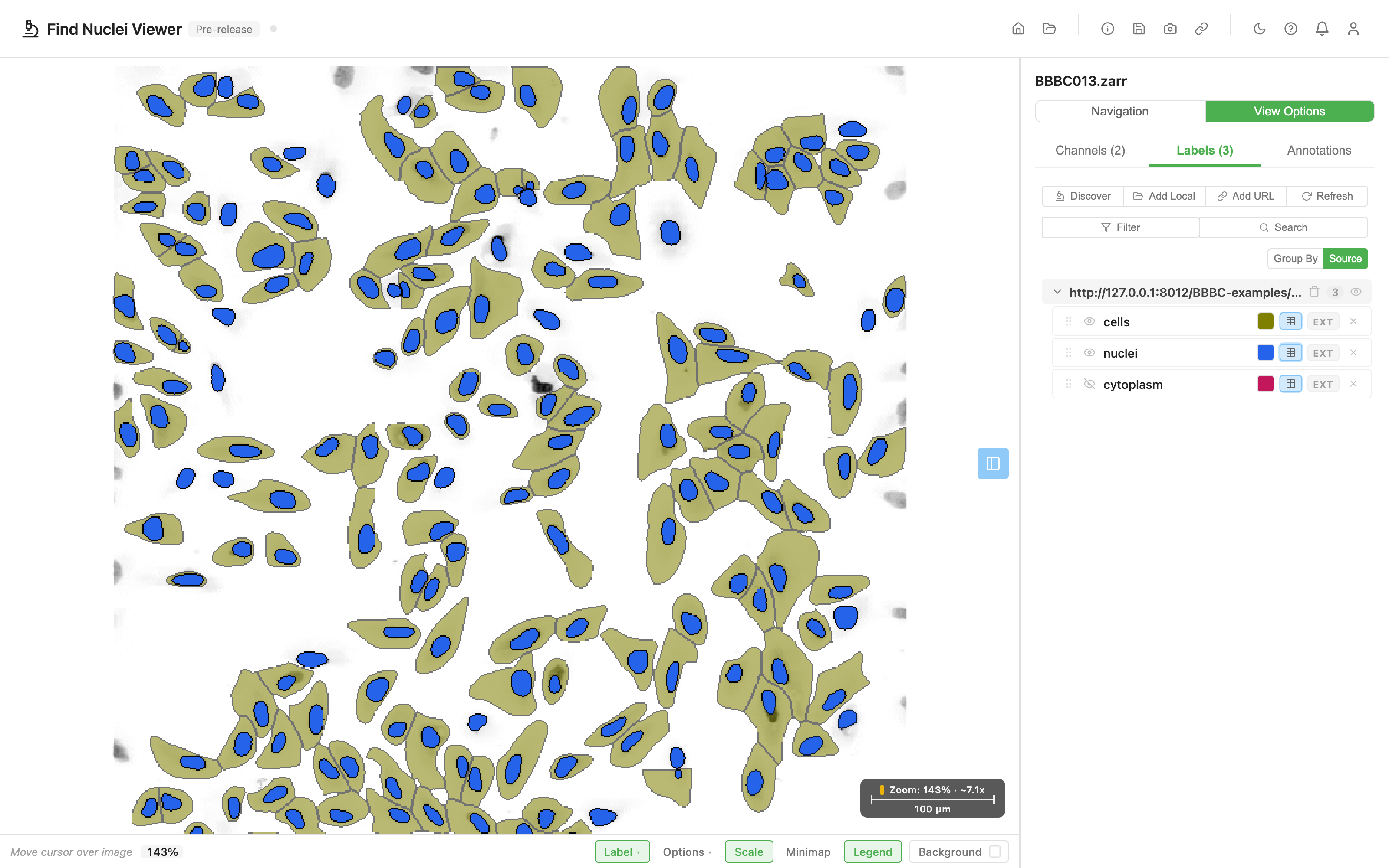 The viewer showing one well with olive cell bodies outlined in dark, blue nuclei drawn on top of them, and the Labels panel listing cells, nuclei and a hidden cytoplasm layer in that order