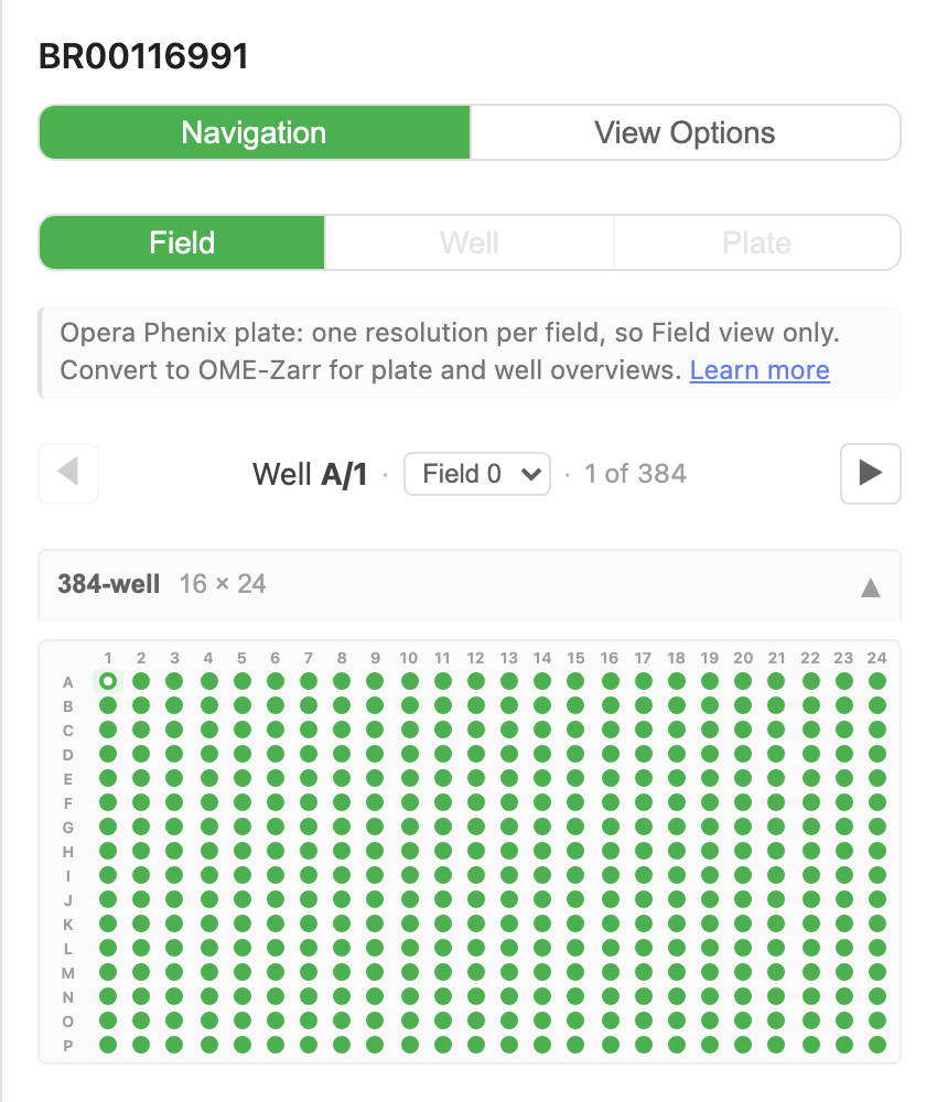 The Navigation tab of plate BR00116991: Field active and Well and Plate greyed out, the note reading Opera Phenix plate: one resolution per field, so Field view only, the well navigator on Well A/1 with the Field 0 dropdown and 1 of 384, and the 384-well picker, 16 by 24, with every well present