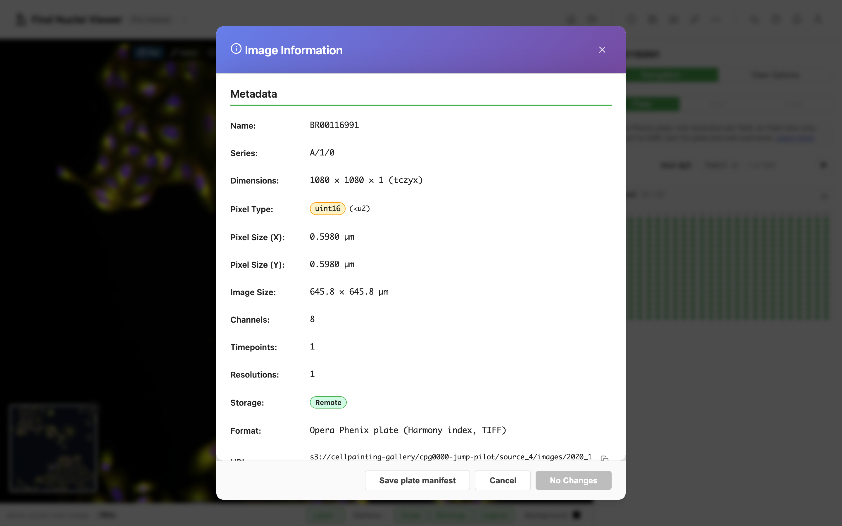 The Image Information dialog for plate BR00116991, series A/1/0: 1080 by 1080 pixels, uint16, 0.5980 µm pixels, 8 channels, 1 resolution, stored remotely at an s3:// address in the Cell Painting Gallery, with the Save plate manifest button at the bottom