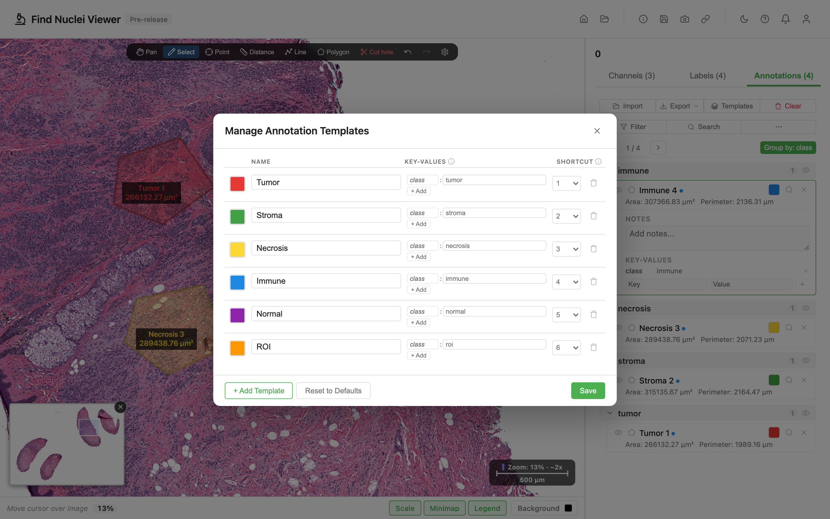 A slide with annotations drawn in multiple colors, the Annotations panel sidebar showing the list grouped by class, and the Template Manager modal open in the foreground