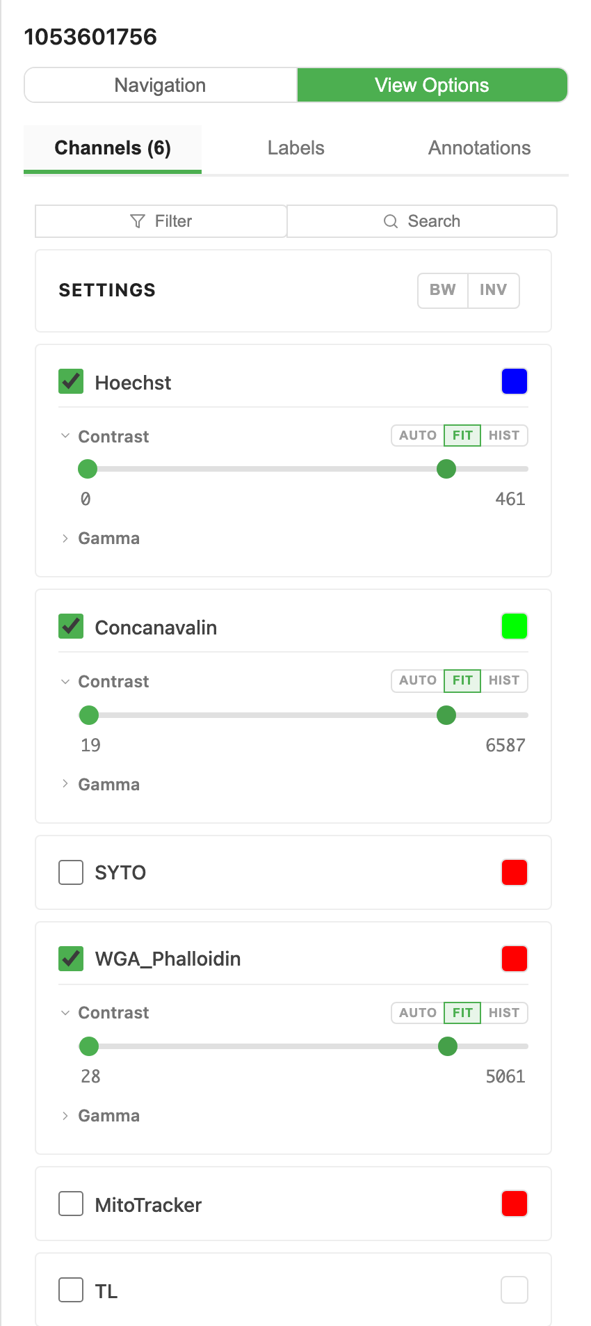View Options, Channels (6), on plate 1053601756: Hoechst, Concanavalin and WGA_Phalloidin switched on with their contrast sliders, SYTO and MitoTracker switched off, and the brightfield channel TL, grey, switched off