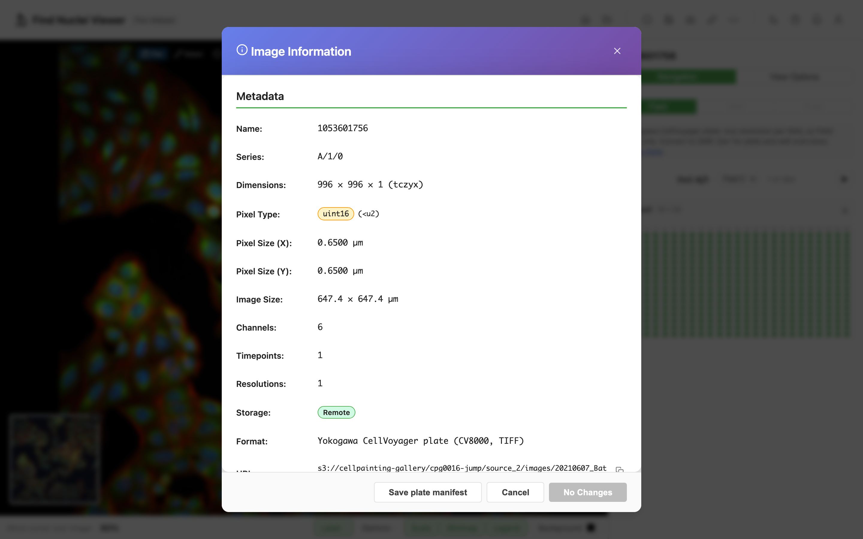 The Image Information dialog for plate 1053601756, series A/1/0: 996 by 996 pixels, uint16, 0.6500 µm pixels, 6 channels, 1 resolution, stored remotely, Format reading Yokogawa CellVoyager plate (CV8000, TIFF), with the Save plate manifest button at the bottom
